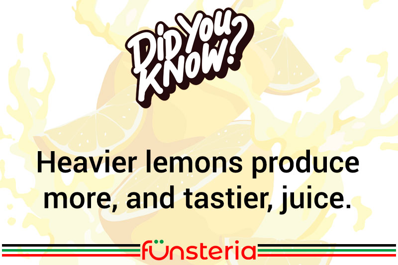 A Juicy Tidbit About Lemons