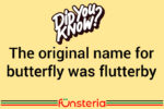 Flutterby Fly By