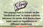 Prescription For Papaya