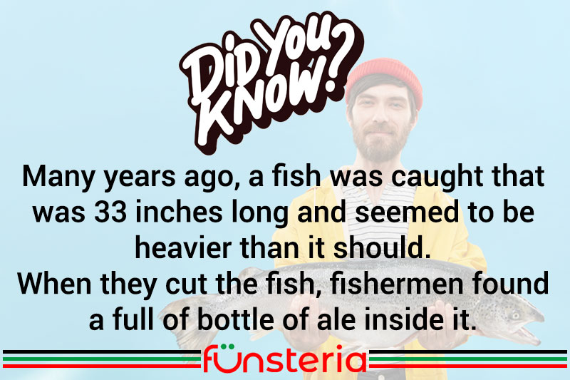 That Sounds Pretty Fishy To Me