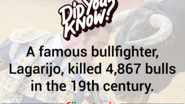 That's A Lot Of Bull Hits