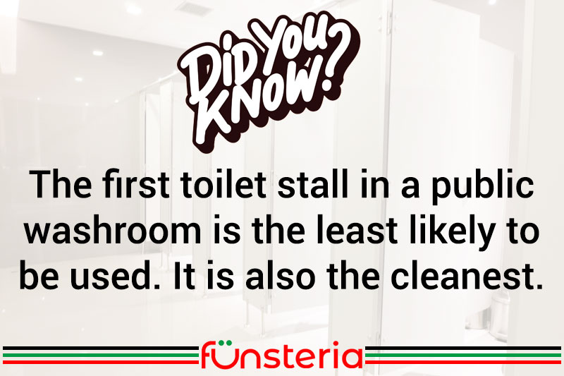Toilet Trivia