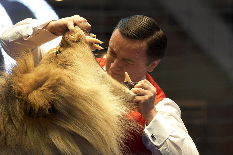 Lion Tamer Experience