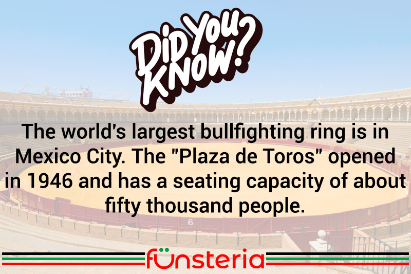 That's A Lot Of Bull...Fighting.