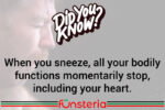 Don't Stop Sneezing