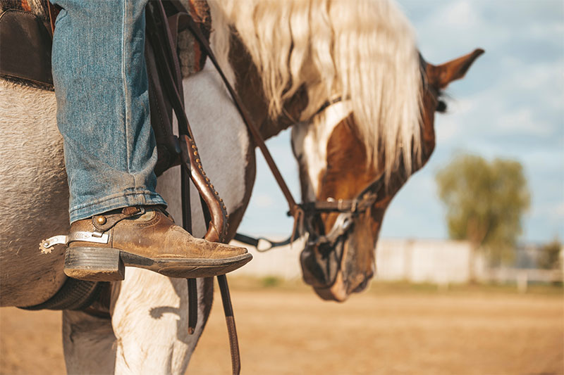 A poor cowboy needs a horse