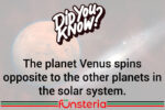 There's One In Every Solar System