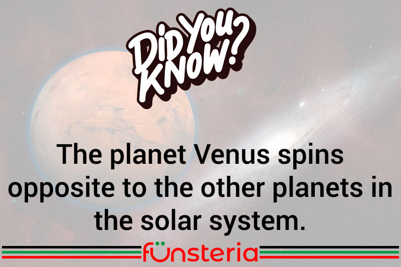 There's One In Every Solar System