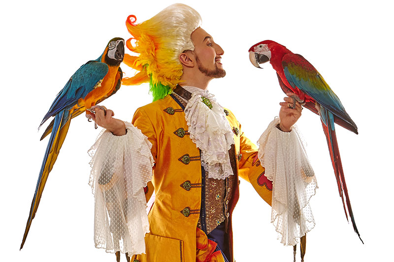 The magician and the parrot